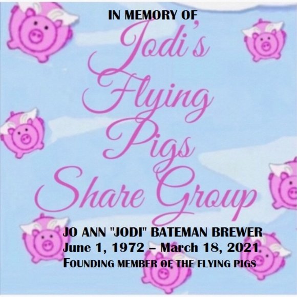 Join us in our awesome Flying Pigs share group. - Picture 3 of 3